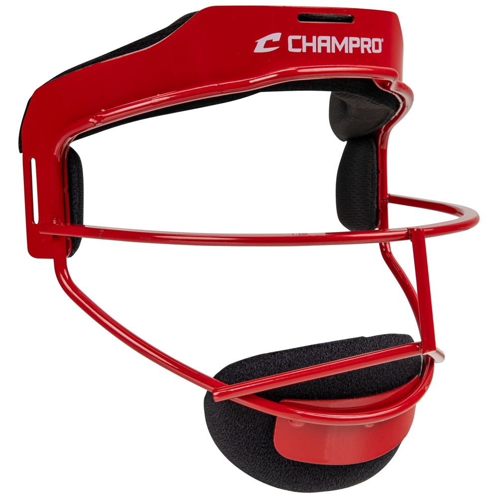 Youth Sentry Fielder's Facemask