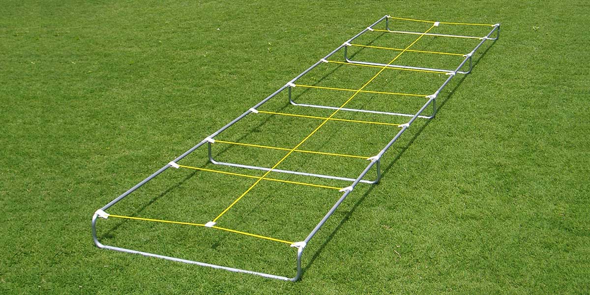 Agility Master High Step Trainer