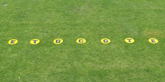 Line-Up Disc