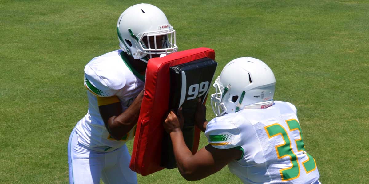 HD600 - Pummel Shield