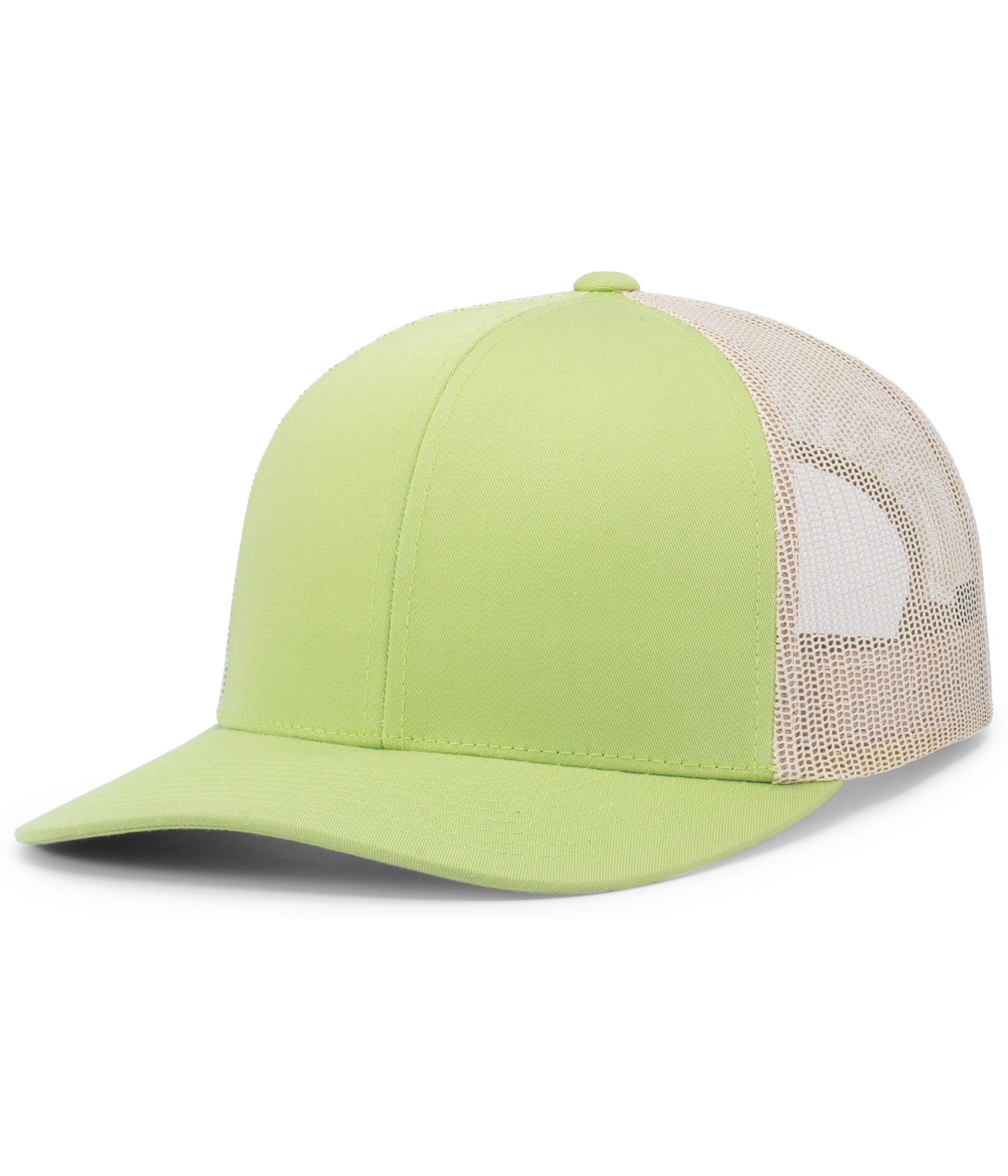 TRUCKER SNAPBACK CAP
