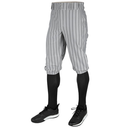 Triple Crown 2.0 KNICKER PINSTRIPE