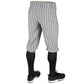 Triple Crown 2.0 KNICKER PINSTRIPE