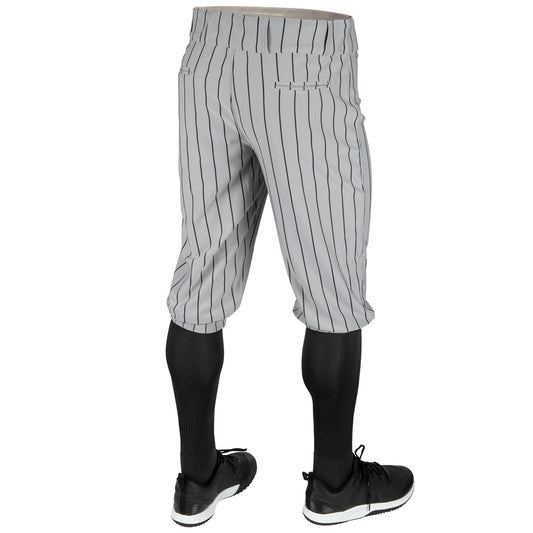 Triple Crown 2.0 KNICKER PINSTRIPE