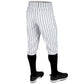 Triple Crown 2.0 KNICKER PINSTRIPE