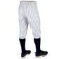 Triple Crown 2.0 KNICKER PINSTRIPE