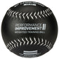 Weighted Training Softballs (Bulk or Retail)