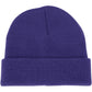 POLAR CUFF BEANIE