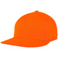 Pennant Snapback