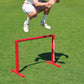 Agility Hurdles