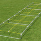 Agility Master High Step Trainer