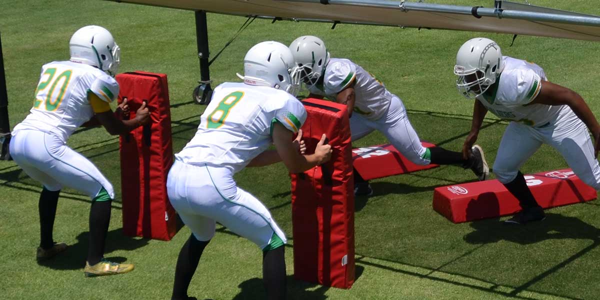 SO Series - Step Over Dummies