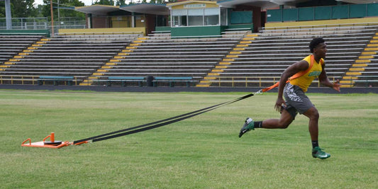 Push Pull Sled