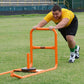 Push Pull Sled