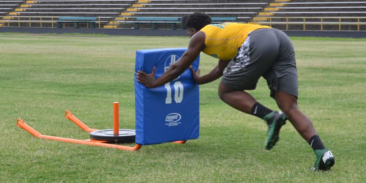 Push Pull Sled