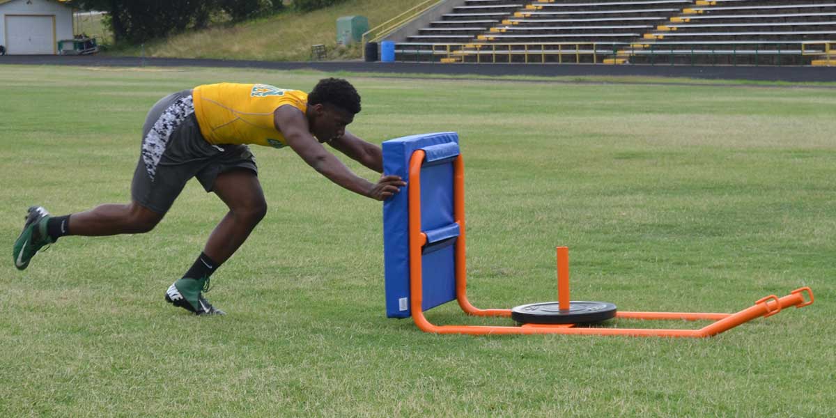 Push Pull Sled